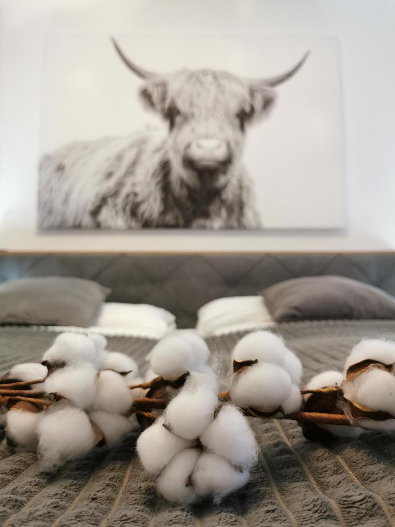 Smartapart - Design - Favorite Place - Full Equipment - Public Transport Apartment Nuremberg